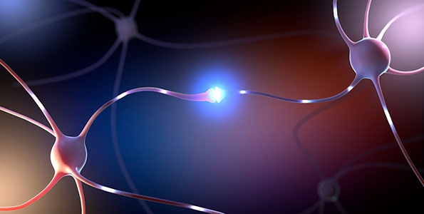 한림신경의학연구소 관련 사진