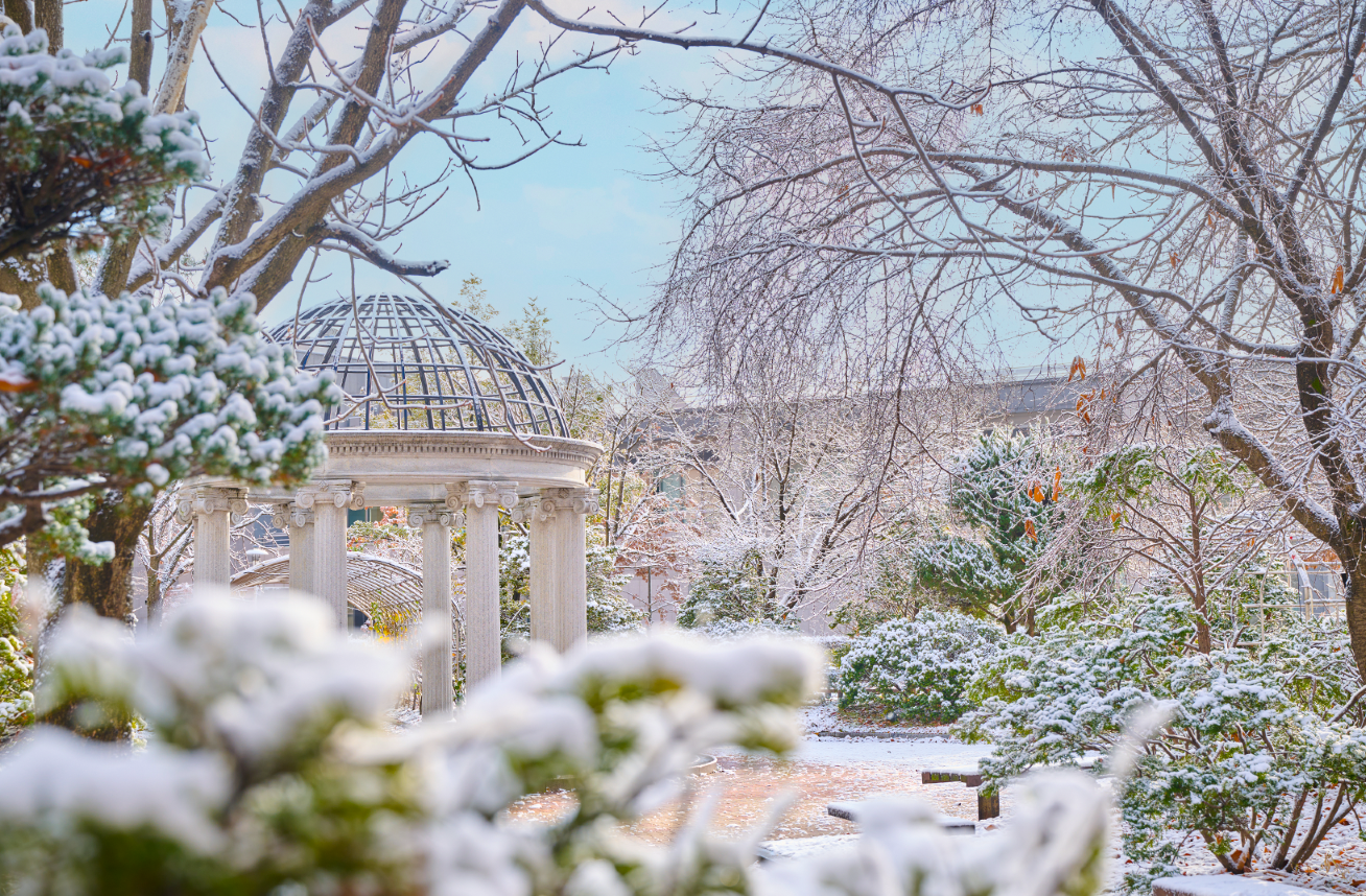 한림대학교 겨울전경1.png 첨부 이미지